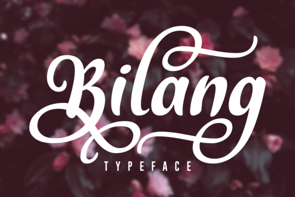 Bilang: A Script Font for Bold Web Design