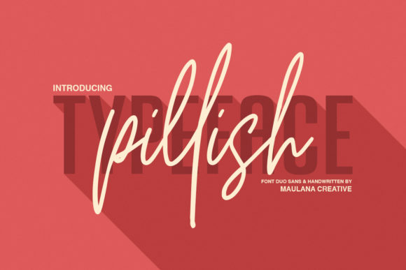 Pillish Duo: A Font Pair That Elevates Web Design
