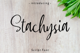 Stachysia: A Handwritten Font That Builds Trust