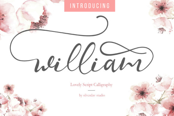 William: A Script Font for Modern Web Design